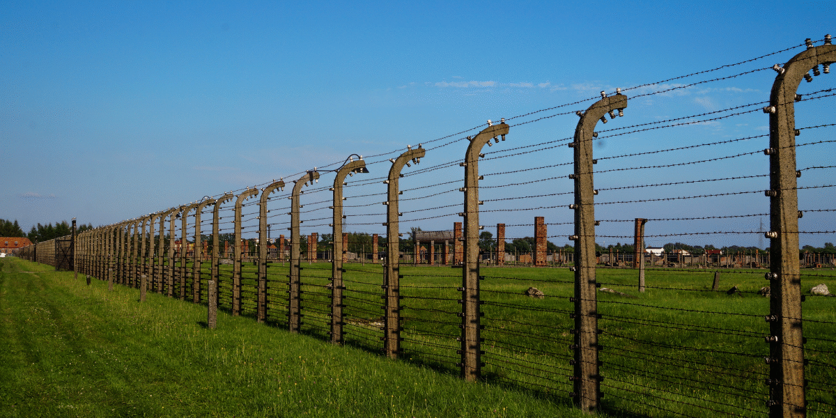 post and wire fencing cost per metre
