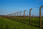 post and wire fencing cost per metre