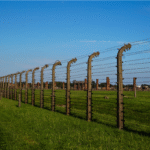 post and wire fencing cost per metre