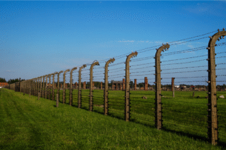 post and wire fencing cost per metre