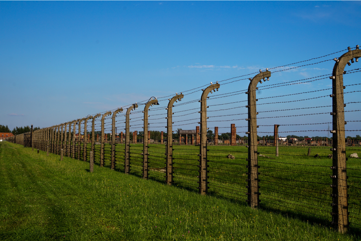 post and wire fencing cost per metre
